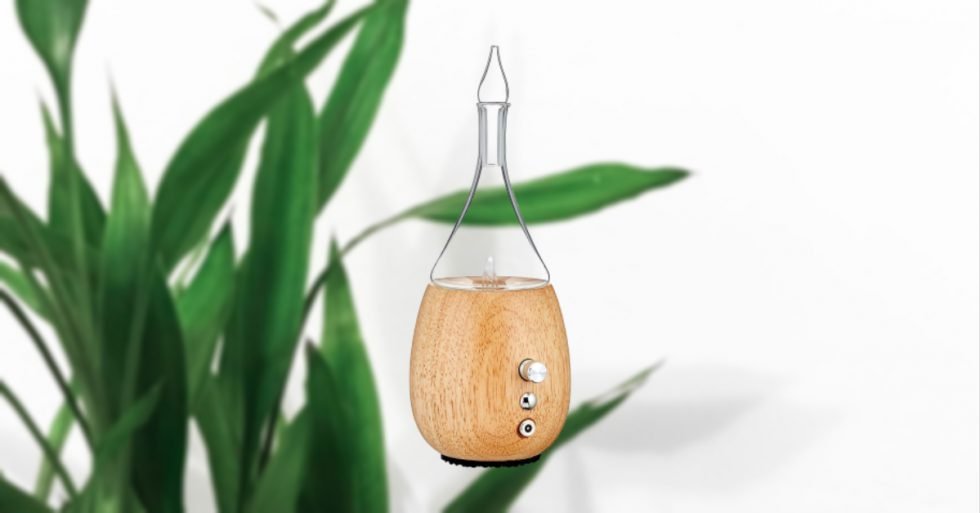Top 10 Best Nebulizing Diffusers in 2020 Essential Oil Diffuser Reviews